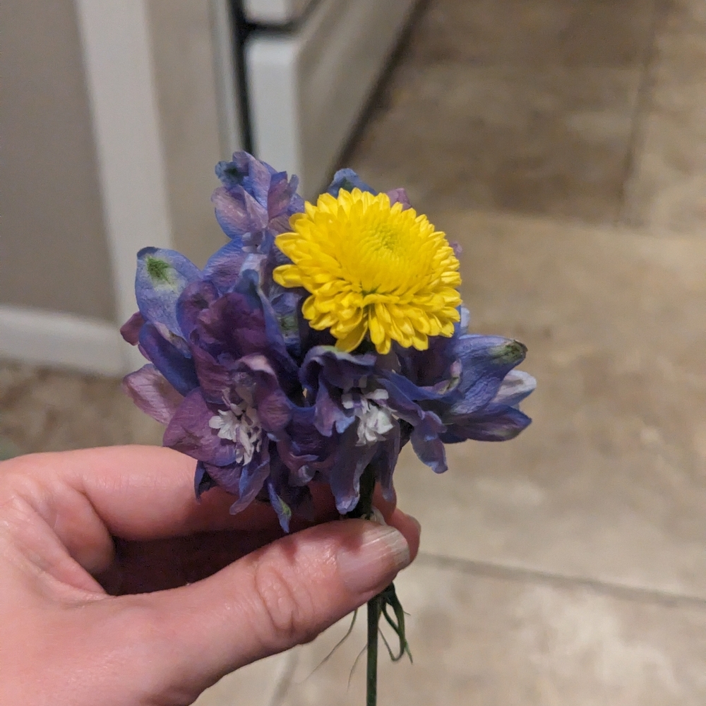 How to use a Closet Clear Out Promotion!